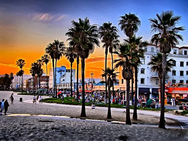 Palm trees along a coastal road at sunset